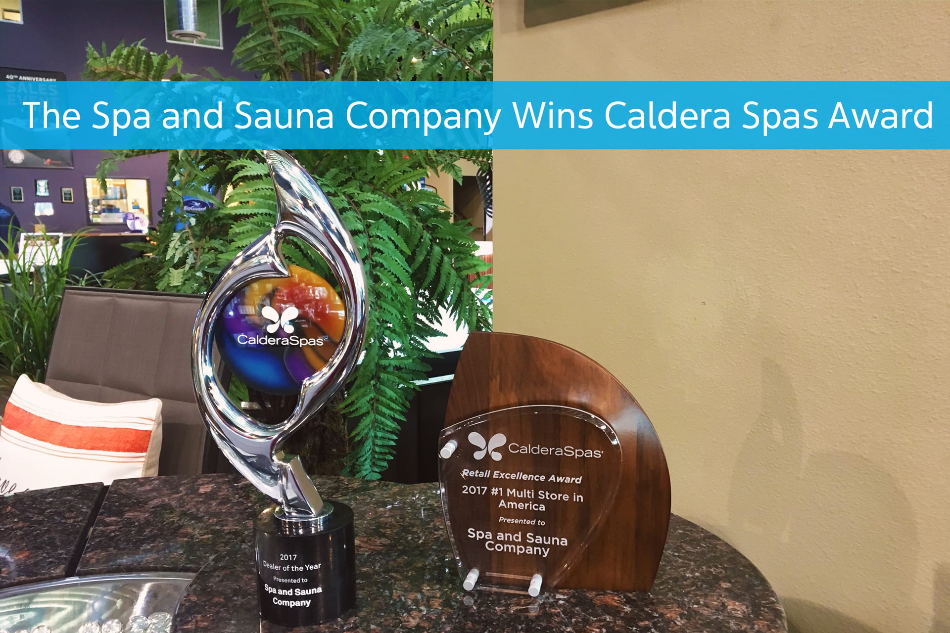 Hot Tub Dealer Reno, The Spa and Sauna Company Wins Caldera Spas 2017 North American Dealer of the Year Award